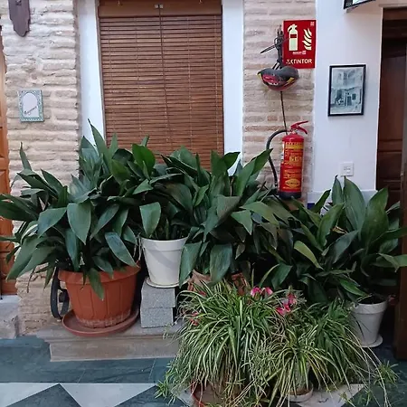 Apartamento Patio De Los Leones Granada Buitenkant foto